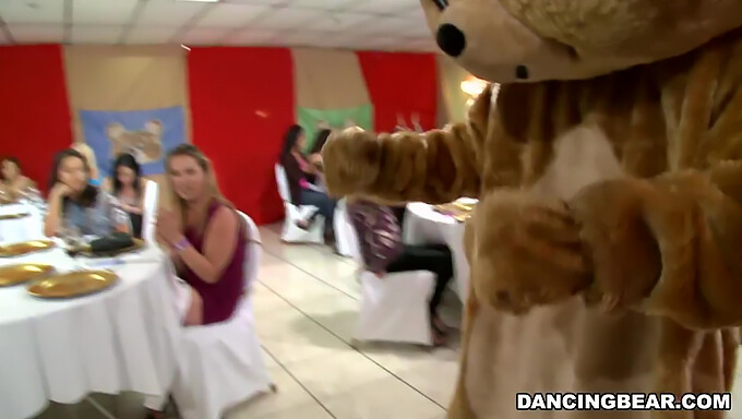 Pripojte Sa K Slávnostiam S Široko Známym Dancing Bear! (Db9822)