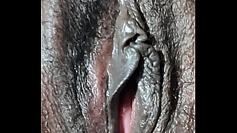 Vagina Secara Detail: Tampilan Close-Up Dari Penetrasi Yang Intens